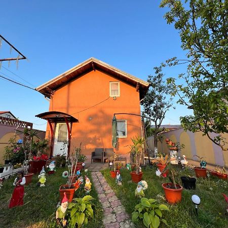 Готель Casa Daniela Костінешть Екстер'єр фото